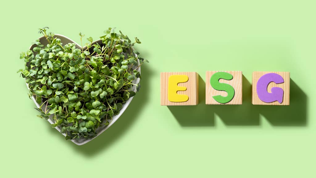 ESG - Responsabilidade Socioambiental Empresarial