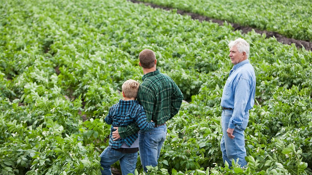 Sistema de Compliance em Empresas do Agronegócio e sua contribuição na Sucessão do Negócio